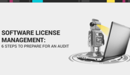 Software License Management Audit Tips