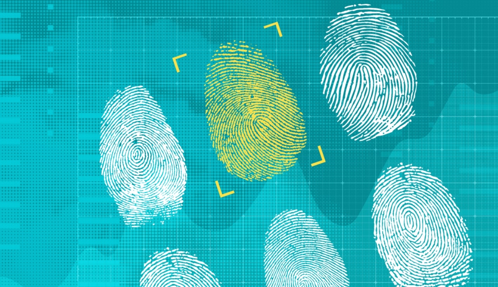 Three Ways to Prepare Your Agency for a Modernized Digital Verification System blog post image