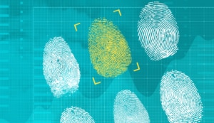 Three Ways to Prepare Your Agency for a Modernized Digital Verification System blog post image