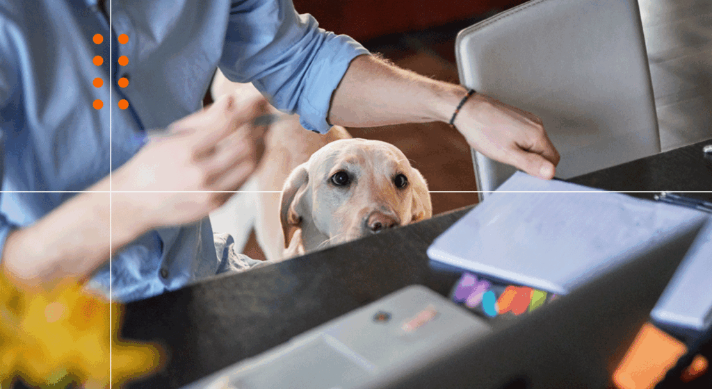 Competitor Datadog