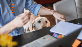 Competitor Datadog