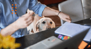 Competitor Datadog