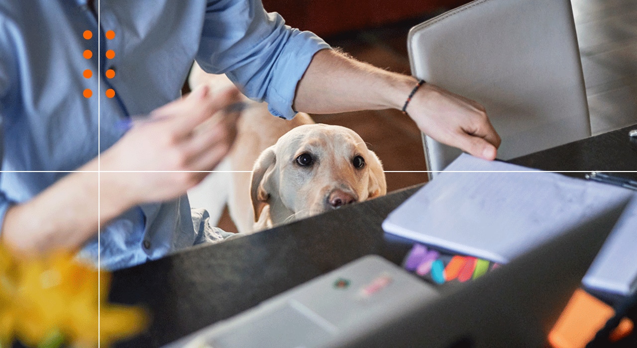 Top 14 alternatives for Datadog in 2026