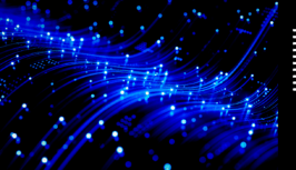 SyntheticPrivateProbes